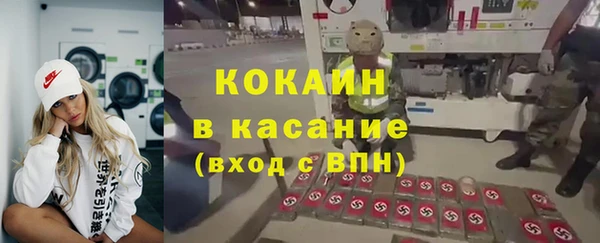 ешки Ельня