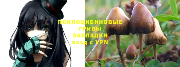 молекула духа Заволжск