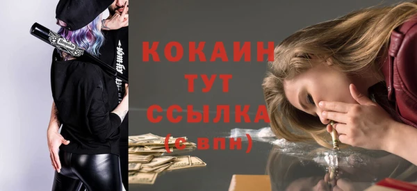ешки Ельня