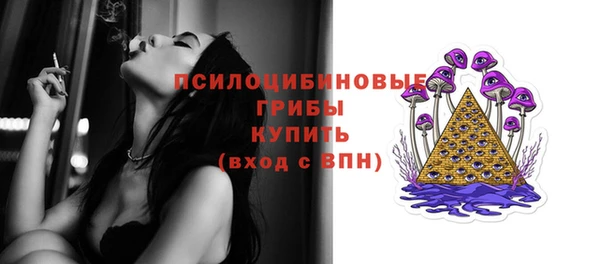 винт Елабуга