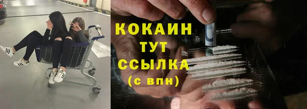 винт Елабуга