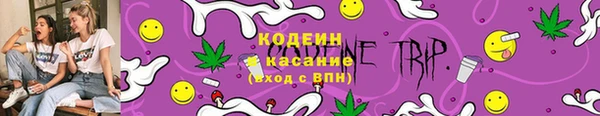 ешки Ельня