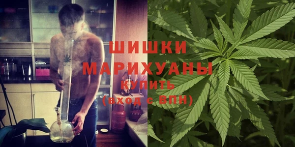 синтетический гашиш Заводоуковск