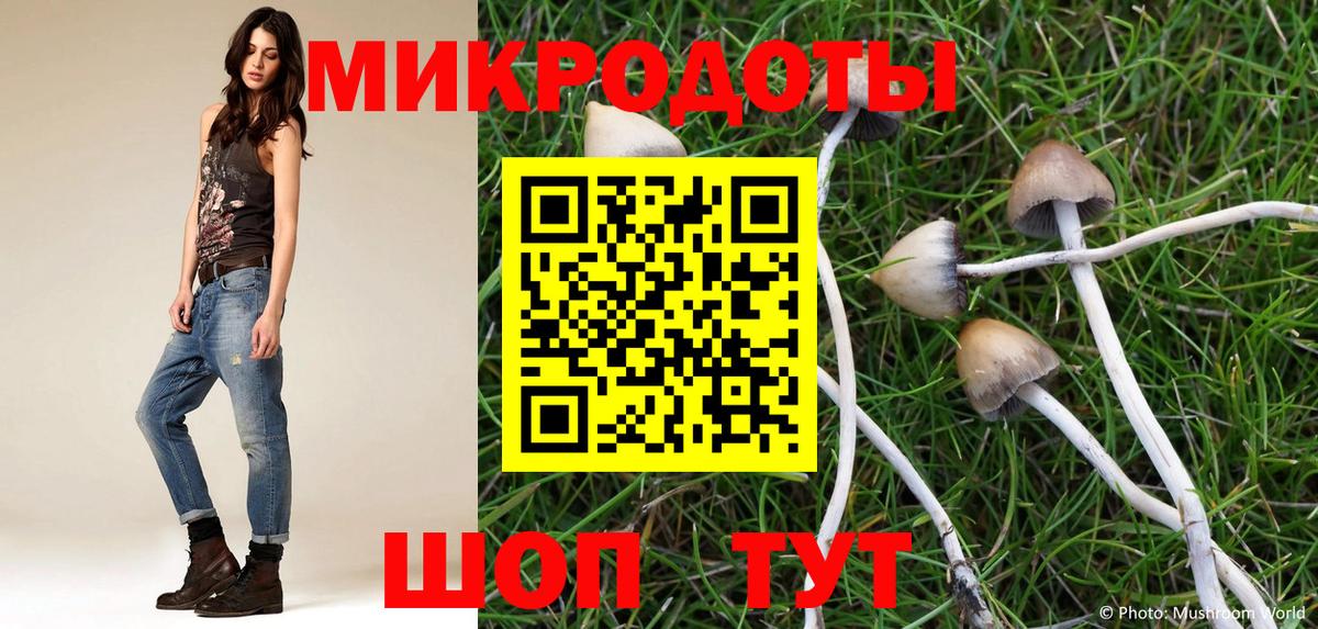 Псилоцибиновые грибы Psilocybine cubensis Протвино