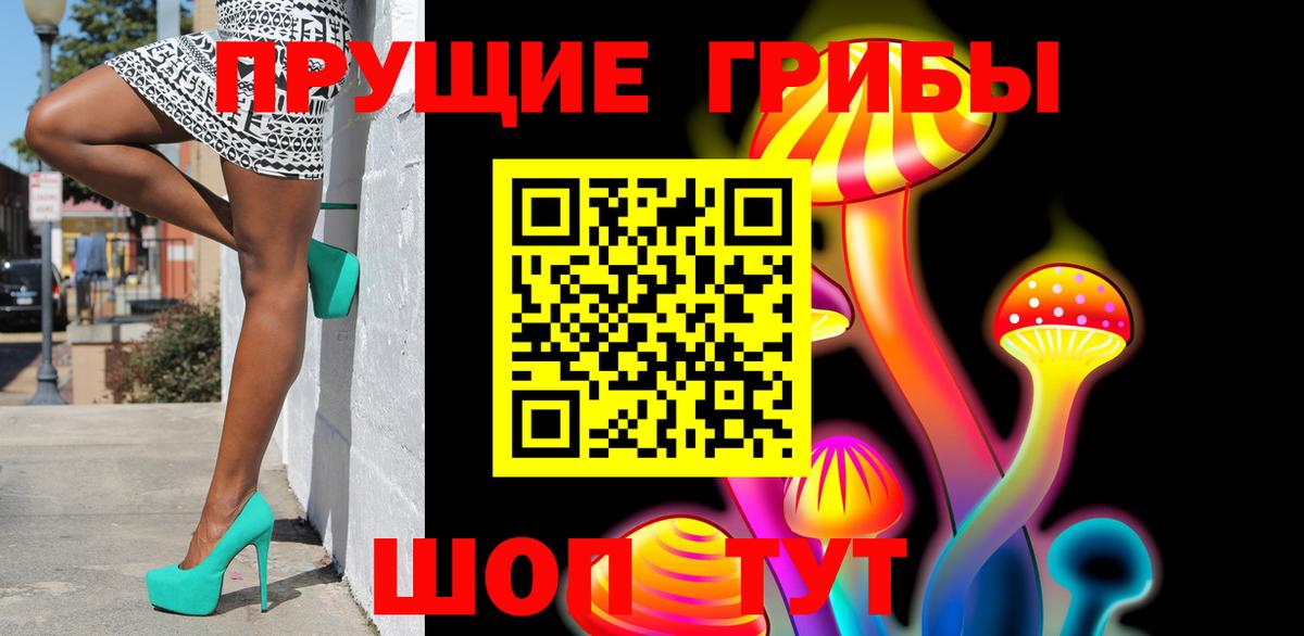 Псилоцибиновые грибы Psilocybine cubensis  Вход с VPN  Галлюциногенные грибы прущие грибы  Протвино 